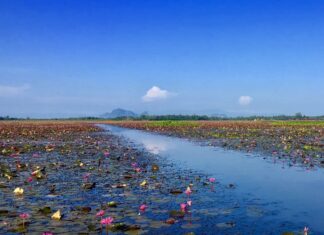 lac Songkhla