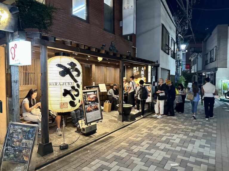 JAPON – POLITIQUE : Tout savoir sur les élections législatives japonaises du 27 octobre