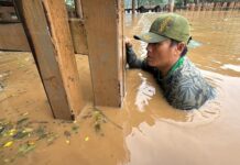 Sauveteur éléphants inondations