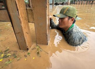 Sauveteur éléphants inondations