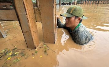 THAÏLANDE – CHRONIQUE : A Chiang Mai, opération SOS JUMBO Sauveteur éléphants inondations