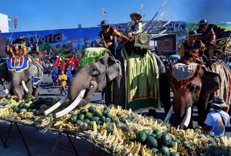 THAÏLANDE – TOURISME : Le festival des éléphants de Surin se tiendra les 16 et 17 novembre