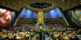 sommet de l'avenir ONU