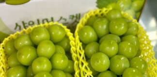Shine Muscat