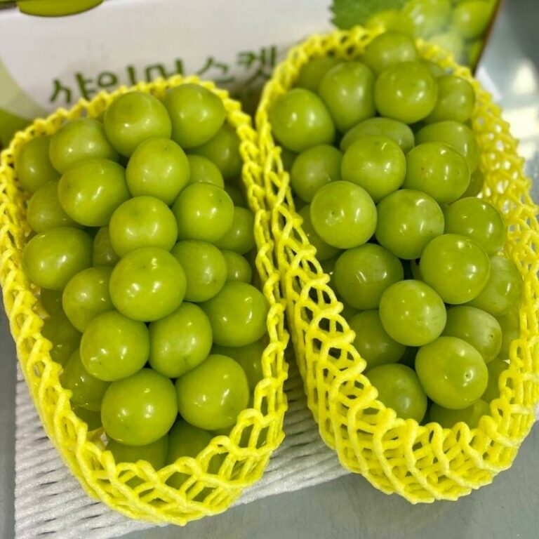 THAÏLANDE – SOCIÉTÉ : Les raisins Shine Muscat importés en Thaïlande conformes aux normes sanitaires