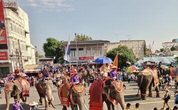 THAÏLANDE – CHRONIQUE : Surin, capitale XXL des éléphants