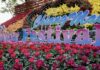THAÏLANDE – FESTIVAL : Chiang Mai en fleurs : un enchantement au parc PAO Chiang Mai festival des fleurs