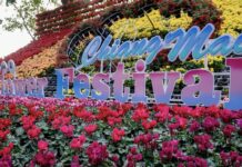 Chiang Mai festival des fleurs