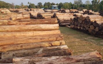 BIRMANIE – JUSTICE : Yacht de luxe et bois illégal : Sunseeker condamné Teak birmanie