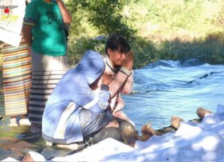 Birmanie Rakhine bombardements