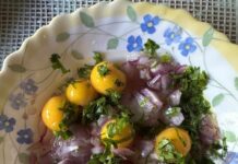 THAÏLANDE – CHRONIQUE : « Sukhothaï : Histoires d’Œufs » Oeufs de tortue