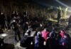 THAÏLANDE – BIRMANIE : Arrestation de 21 migrants birmans à la frontière thaïlandaise