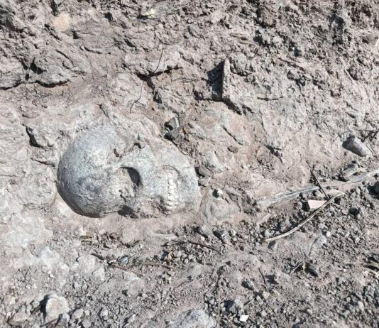 THAÏLANDE – PRÉHISTOIRE : Découverte d’un squelette et d’artefacts préhistoire Thaïlande