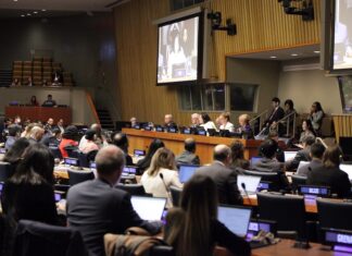 63e session de la Commission des Nations Unies pour le développement social