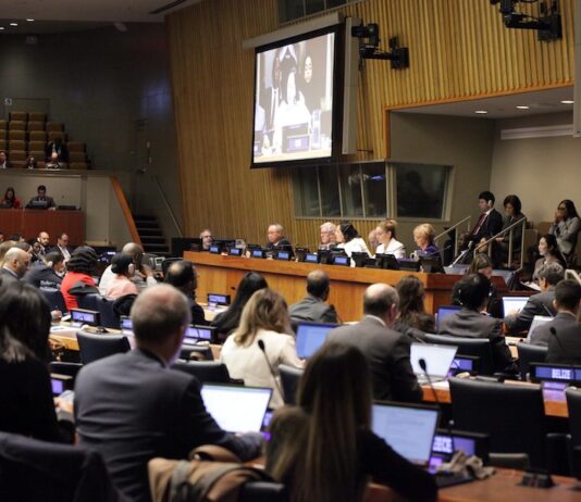 ASIE – EUROPE : Le développement social, ça existe encore ? 63e session de la Commission des Nations Unies pour le développement social