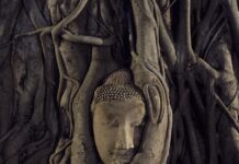 Ayutthaya Sundown 2025