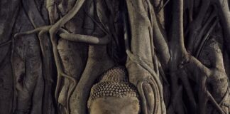 Ayutthaya Sundown 2025