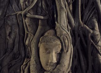 Ayutthaya Sundown 2025