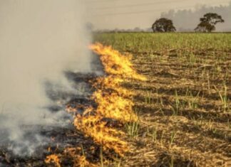Brulis agriculture Cambodge