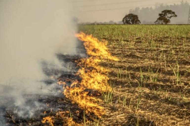 CAMBODGE – POLLUTION : La qualité de l’air en question face à la recrudescence des incendies