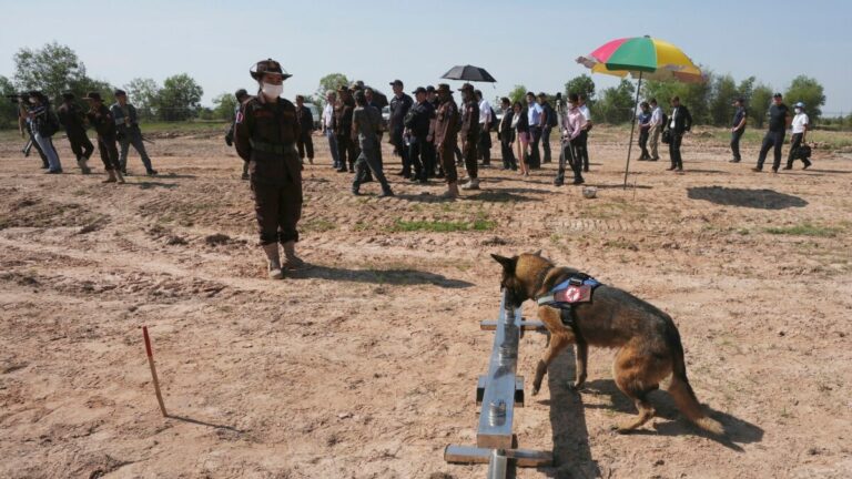 CAMBODGE EXPRESS – ACTUALITÉS : Que retenir de l’actualité cambodgienne du 3 au 9 février ?