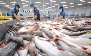 VIETNAM EXPRESS – ACTUALITÉS : Que retenir de l’actualité au Vietnam du 3 au 9 février ?