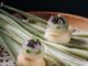 Gaggan Anand restaurant Bangkok