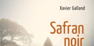 roman safran noir