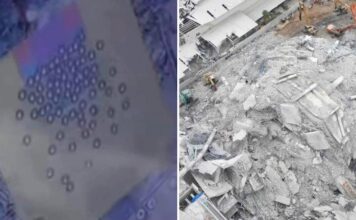 THAÏLANDE – SÉISME : Un scanner montre d’éventuels survivants dans l’effondrement du building de Chatuchak