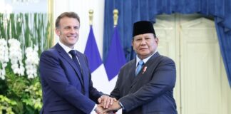 Emmanuel Macron et Prabowo Subianto