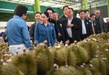 Ing Shinawatra - fruits