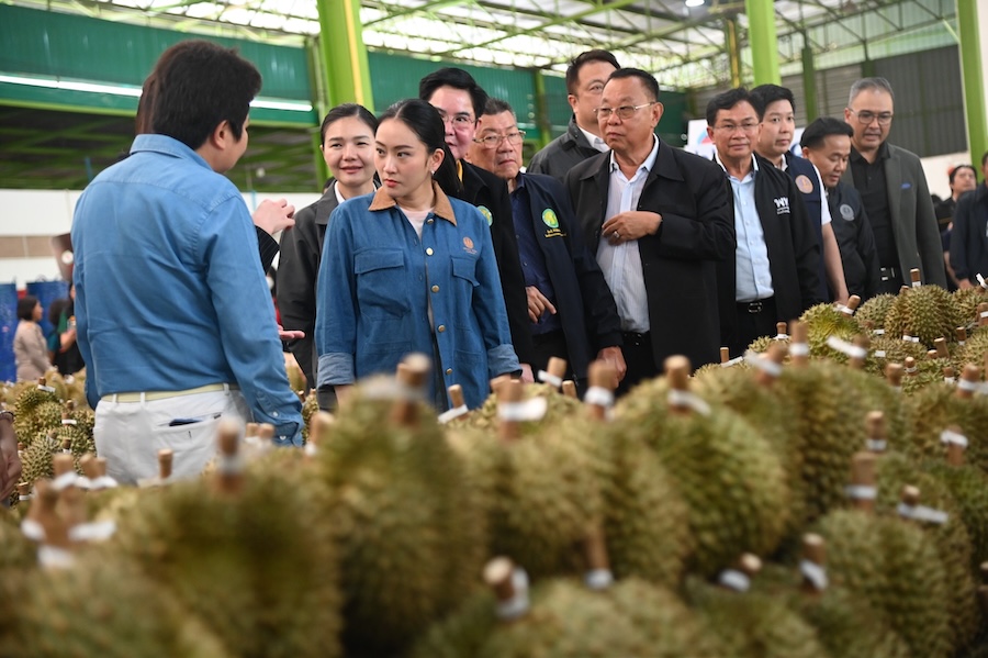 Ing Shinawatra - fruits