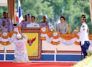 Labour day roi et reine