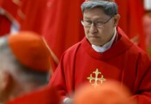 cardinal Luis Antonio Tagle