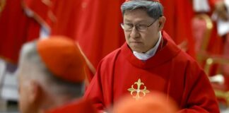 cardinal Luis Antonio Tagle