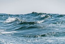 Mer