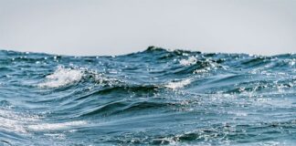 Mer
