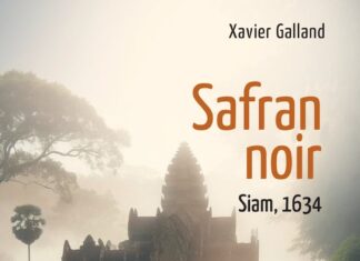 Roman Safran Noir