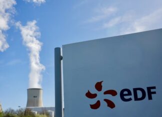 Small Modular Reactors EDF