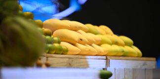 fruits thaïlandais