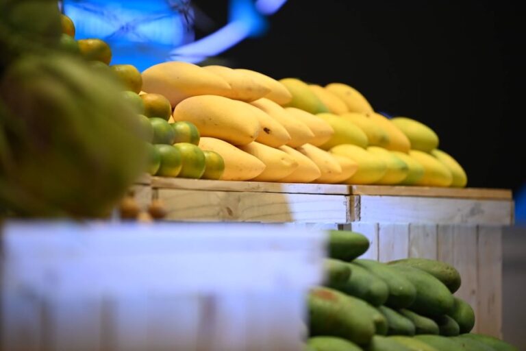 THAÏLANDE – ÉCONOMIE : Les exportations agricoles marquent une pause après une forte croissance fin 2024