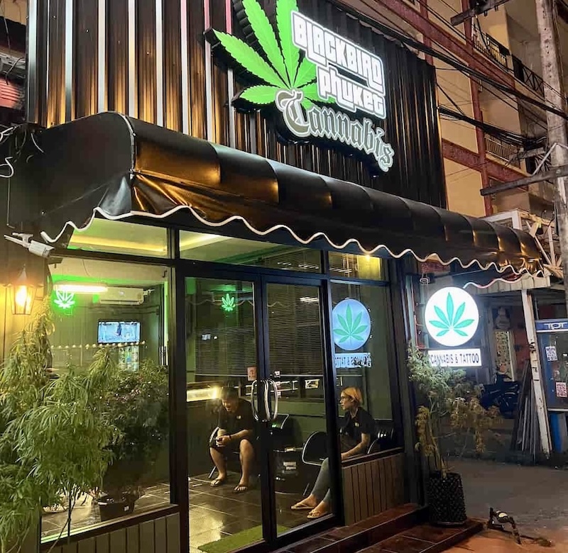 mag cannabis Phuket