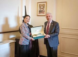 rencontre ministre de la culture et ambassadeur de France
