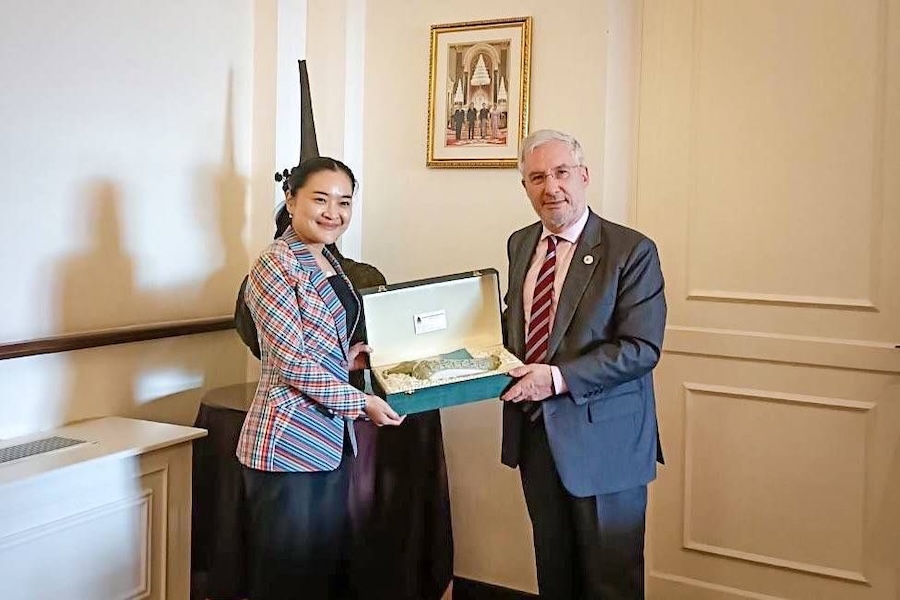 rencontre ministre de la culture et ambassadeur de France