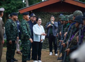 Ing Shinawatra
