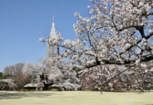 Shinjuku Gyoen