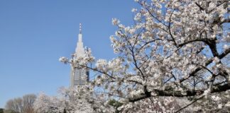 Shinjuku Gyoen