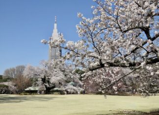Shinjuku Gyoen