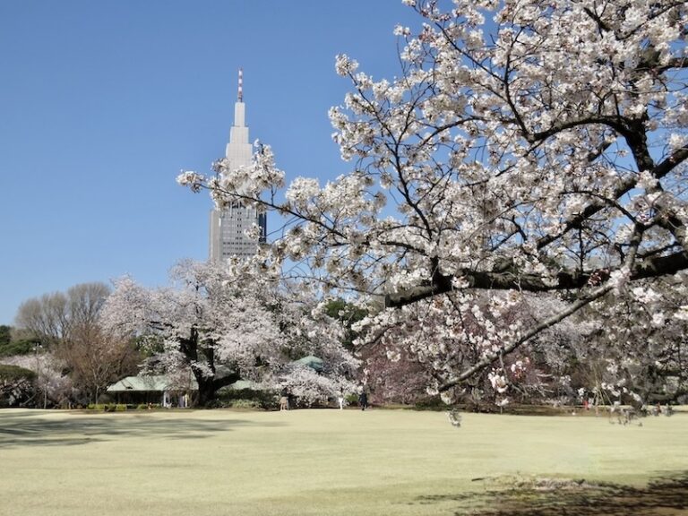 JAPON – FRANCE : Le carnet de voyage japonais de notre collaborateur Yves Carmona
