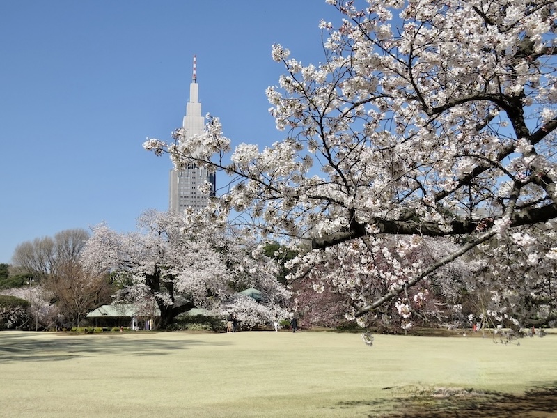Shinjuku Gyoen